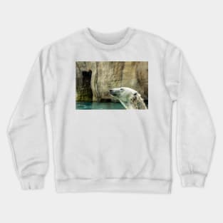 Head of Polar bear Crewneck Sweatshirt